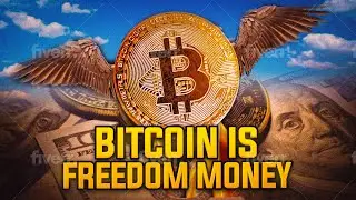 From Fiat to Freedom: The Bitcoin Journey
