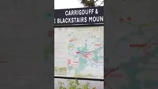 Carlow Walking Festival Reel