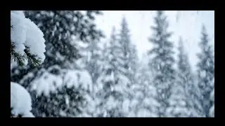 4K Kış Ormanında Huzurlu Kar Yağışı | Uyku, Ders Çalışma ve Rahatlama İçin Kar Ambiyansı (Loop)