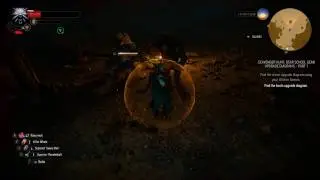 What a Crock (The Witcher 3: Wild Hunt)
