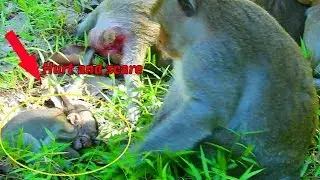 Million pity Maci what she do wrong why Marcus slap on her until collapse and cry hurt like this /MP