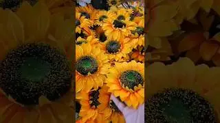 Vibrant Sunflower Home Decor #youtubeshorts #shorts