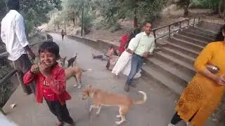 Bodhgaya : Ancient Temple of Dungeshwari Mata and Kush Budh ऊँची पहाड़ी की गुफा में माता का निवास