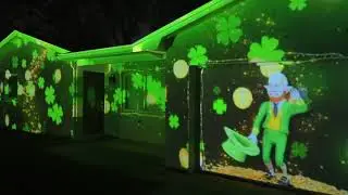 St Patricks Day House Show