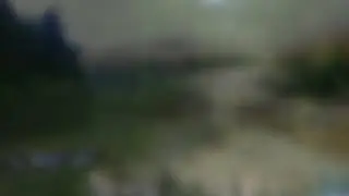 Lacul Vida