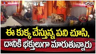 Jordar Varthalu : ఈ కుక్క చేస్తున్న పని చూసి, దానికి భక్తులుగా మారుతున్నారు | hmtv
