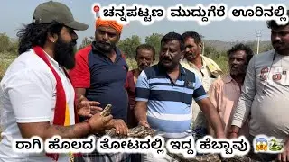 Rescue Indian rock python at muddgere near channapatna #rescuesnake 