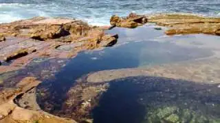 Avoca Beach Rockpool