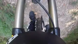 WW Trails