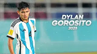 Dylan Gorosito - Solid Young Wingback