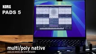 Korg Multi Poly Synthesizer Analogue Modelling Pads 5