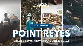 Point Reyes: How to Have a Perfect Day