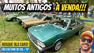MUITOS ANTIGOS (ALGUNS À VENDA) NO BOSQUE DO POVO - SÃO CAETANO DO SUL/ SP!