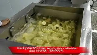 Tilting vegetable washing machine from Zibo Unique Machinery