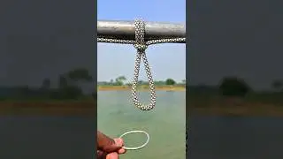 Simple Knot, Heavy-Duty Strength ✅ || #shorts #tricks #knowledge #skills #camping