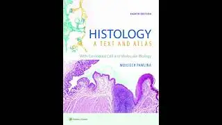 Esophagus and Stomach | Chapter 23 - Histology: A Text and Atlas (8th Edition)