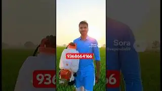 Spray pump