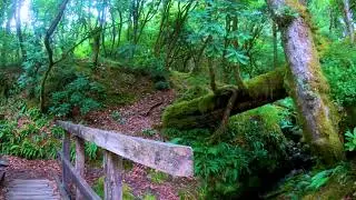 Hiking Scotland - Relaxation 4K Hiking Video of Allt Robuic Waterfalls, (long version)