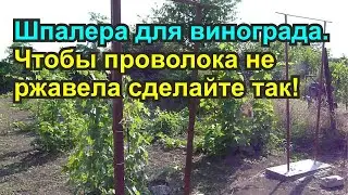 Шпалера для винограда своими руками. Оцинкованная проволока для шпалеры.