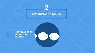 ¿Qué es la atrofia muscular espinal (AME)?