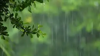 10 Hours of Rain Sound Relaxation / Ultimate Stress Relief, Deep Sleep, Meditation, Yoga,...
