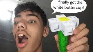 I FINALLY GOT THE WHITE BUTTERCUP, IS IT RARE?