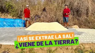 &iexcl;As&iacute; se extrae la sal de grano! &iquest;Sab&iacute;as que viene de la tierra?