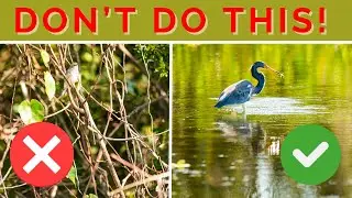 AVOID these 2 beginner MISTAKES and get BETTER photography IMAGES