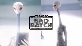 Taun We | Star Wars: The Bad Batch