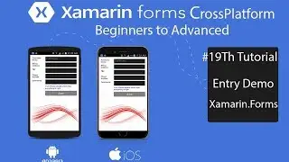 Xamarin Forms Entry Labels Buttons Demo Customer Order[Tutorial 20]