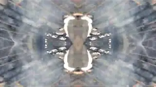 Knobby Paul Netherlands 2018 remixed 2020