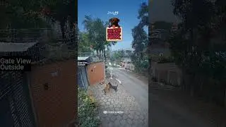 The Hunter From Outside Or.. 😂🥵🐕 The Pet dogs Fight - Who started it #shorts #dogs #dogfight