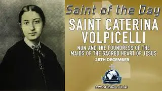 ✨ 28th December Saint of the Day: St. Caterina Volpicelli 🙏 Devotion to the Sacred Heart of Jesus 🔥