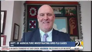 Bird flu detected in Ohio dairy cows