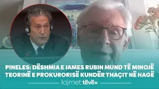 Pineles: D&euml;shmia e James Rubin mund t&euml; minoj&euml; teorin&euml; e prokuroris&euml; kund&euml;r Tha&ccedil;it n&euml; Hag&euml;