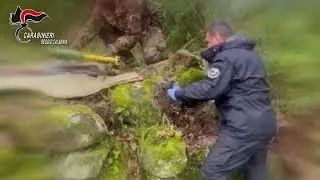 ASPROMONTE, SCOPERTO UN ARSENALE DI ARMI DA GUERRA: MAXI SEQUESTRO DEI CARABINIERI NELLA LOCRIDE
