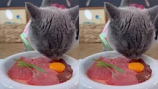 How hard the little kitten eats! #Healing moments of cute pets