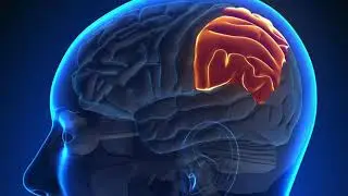 Does pain change your brain?