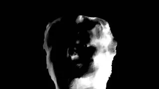 3D Scanned Face