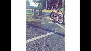 bmx check