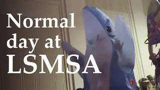 This is why we love LSMSA