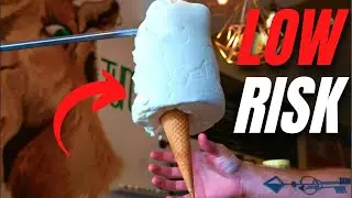 Top 10 MOST INSANE LOW Investment Business Ideas 2023