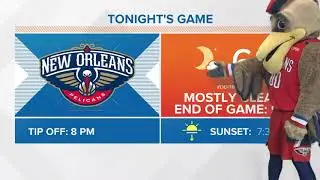 Pierre the Pelican does weather