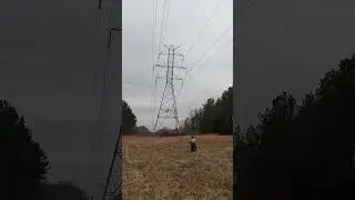 I found a new trail and ended up getting caught.