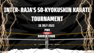 Fight for Glory: Intense Karate Gold Match
