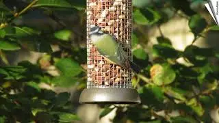LokTop&reg; PREMiUM - Metaal-voedersilo voor pinda's (255mm)