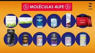Presentaci&oacute;n de Dropshipping con 4Life