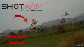 Titar ka shikar || partridge Hunting November 2022 || shotkam #outdoors #hunting