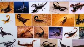 Locust Army in 5th trumpet are human people!