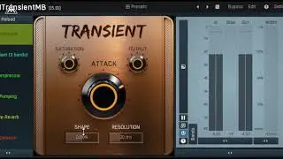 MTransientMB Quick Introduction